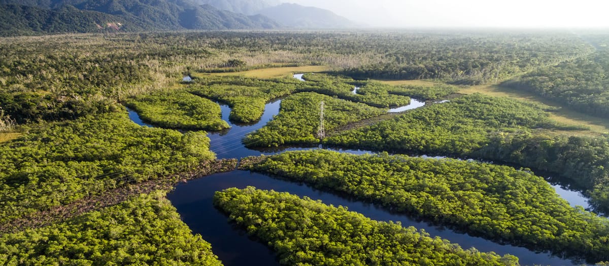 Fernweh auf dem Fluss: Expedition in den Amazonas