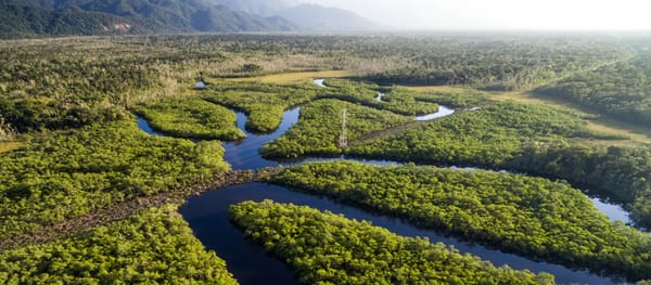 Fernweh auf dem Fluss: Expedition in den Amazonas